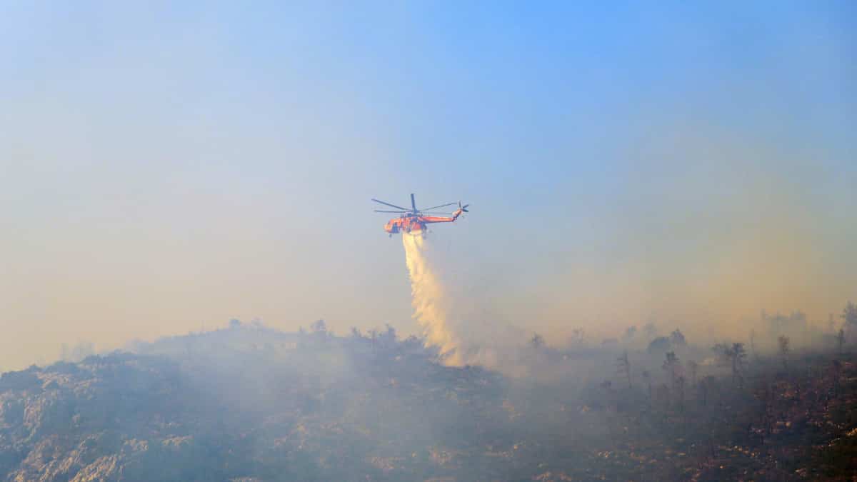 Dozens of firefighters in Greece battle to stop wildfire ignited north of Athens Dozens of firefighters in Greece battle to stop wildfire ignited north of Athens