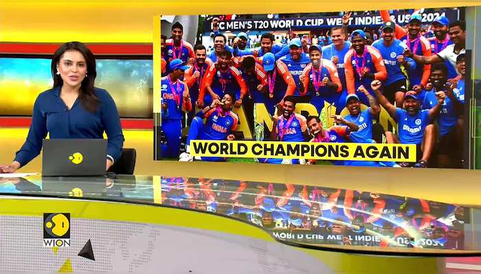 India wins the T20 World Cup, fans celebrate World Cup win