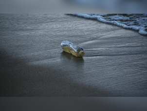 Sri Lanka: Four fishermen die after drinking unknown liquid from bottles found in sea