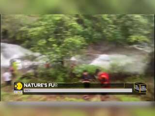 India: Landslide in Lonavla, avalanche in Kedarnath