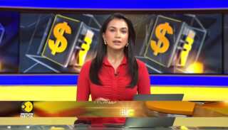 Indian producers seek higher tariffs on imports