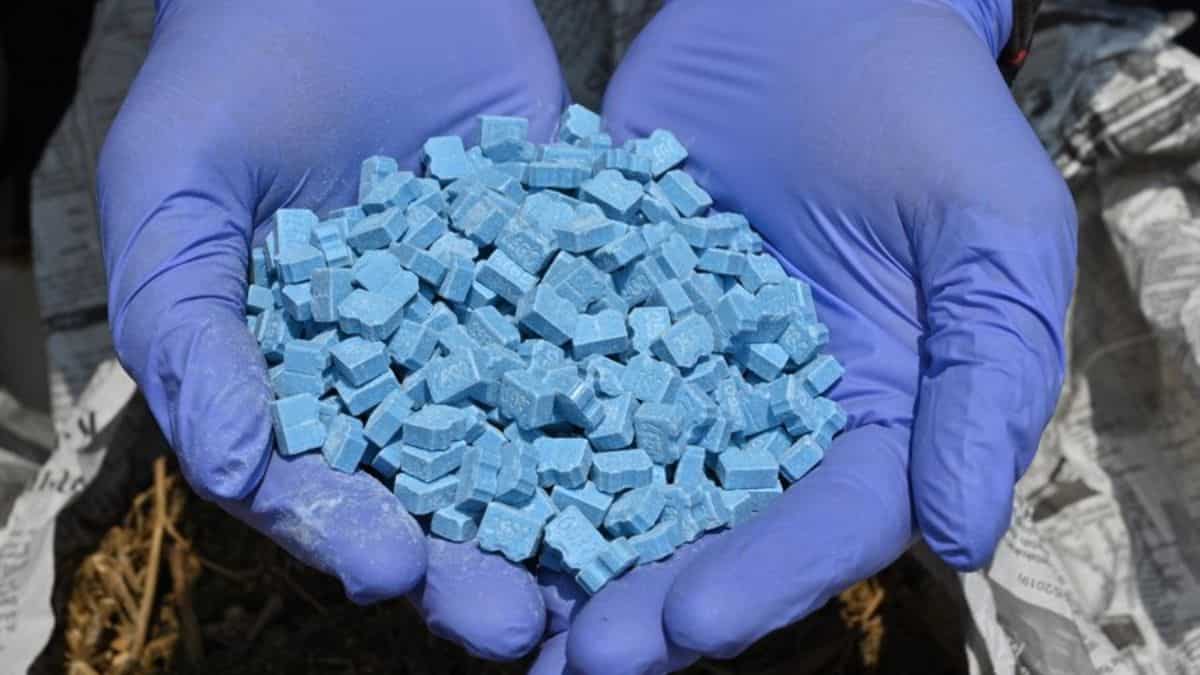 Major drug haul: Italy catches ecstasy chemical precursor from China worth $678mn 
