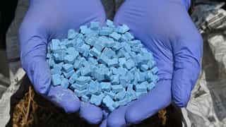 Major drug haul: Italy catches ecstasy chemical precursor from China worth $678mn 