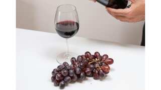 Love grapes or wine? Thank extinction of dinosaurs for it
