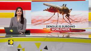 Gravitas: Dengue fever cases surging worldwide, CDC warns of increased risk in US