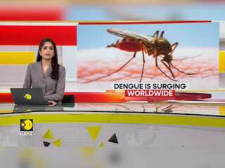Gravitas: Dengue fever cases surging worldwide, CDC warns of increased risk in US