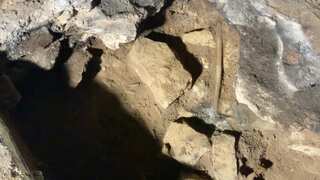 Sorcery is the world’s continuously practiced oldest ritual, sticks found in Australian cave show