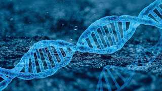 Scientists discover longevity genes. Here's how it can extend lifespan of humans