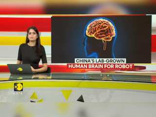 Gravitas: Chinese scientists develop robot with lab-grown human brain