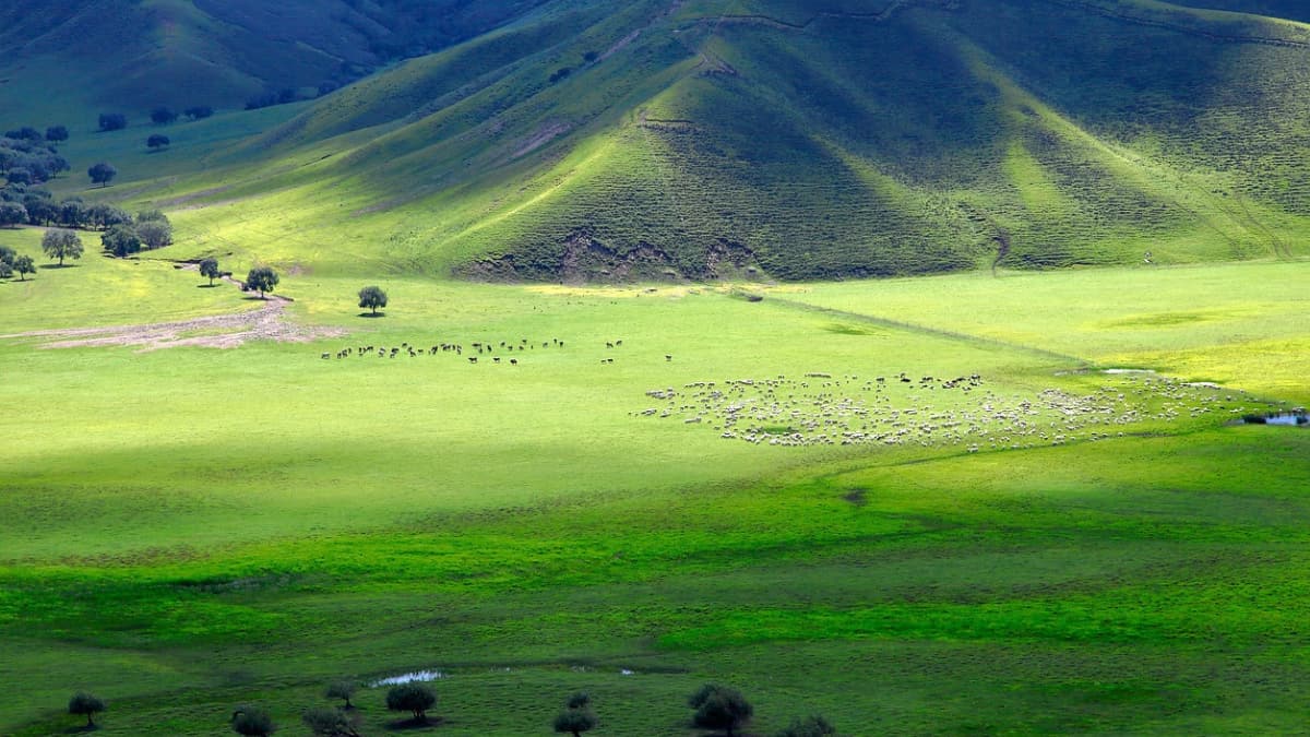 Landlocked country of Mongolia was an ocean for 115 million years after tearing off Earth's mantle