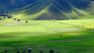 Landlocked country of Mongolia was an ocean for 115 million years after tearing off Earth's mantle