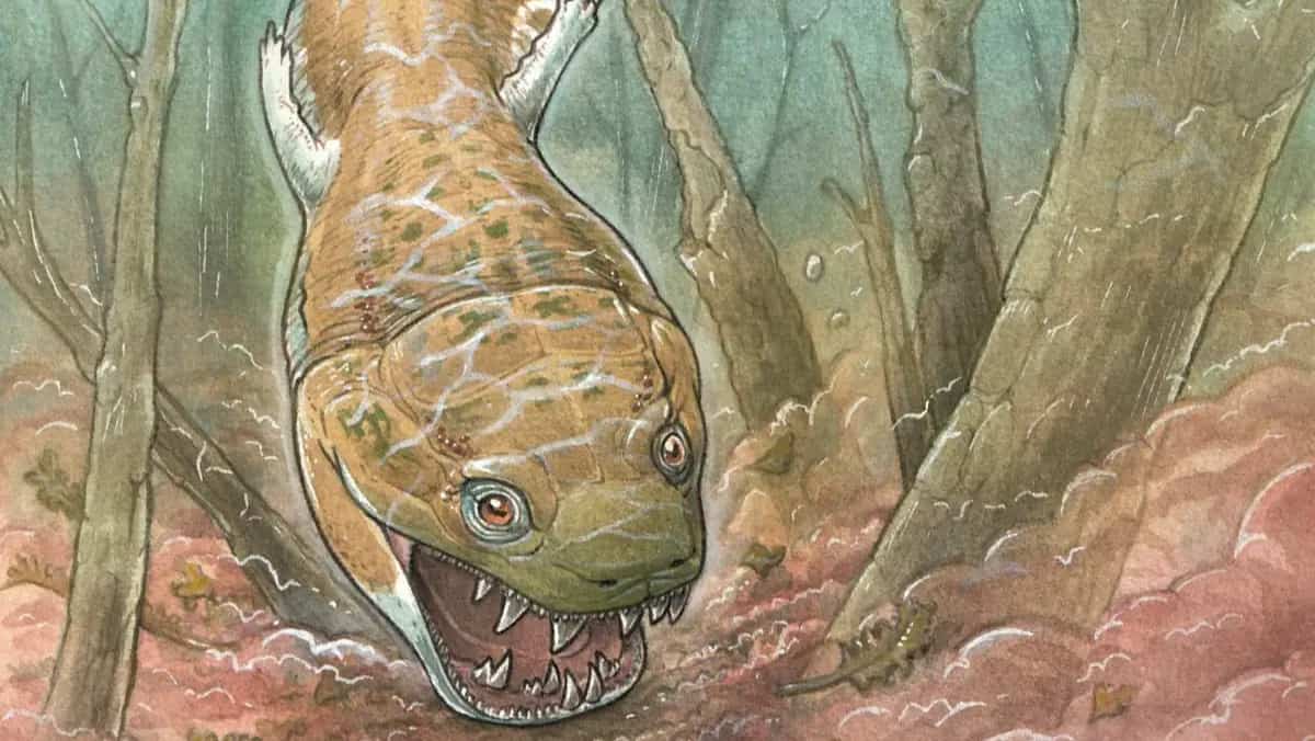 Massive prehistoric Salamander fossil discovered, predating dinosaurs