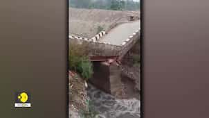 Bihar: 12 bridges collapse in 17 days, who is accountable?