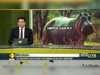 Secrets of the airborne Hippo revealed