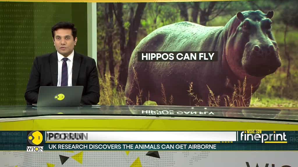 Secrets of the airborne Hippo revealed