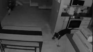 Watch: Dog in Colorado starts house fire after accidently turning on stove