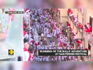 'Running of the bulls' adventure at San Fermin festival