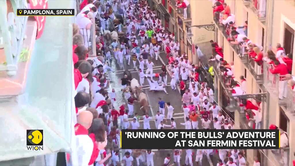 'Running of the bulls' adventure at San Fermin festival
