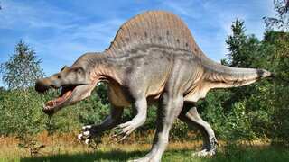 This 'incredibly unusual' dinosaur roamed in Mississippi more than 80 million years ago