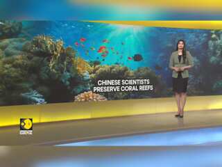 Reefs support up to one-third of all marine life