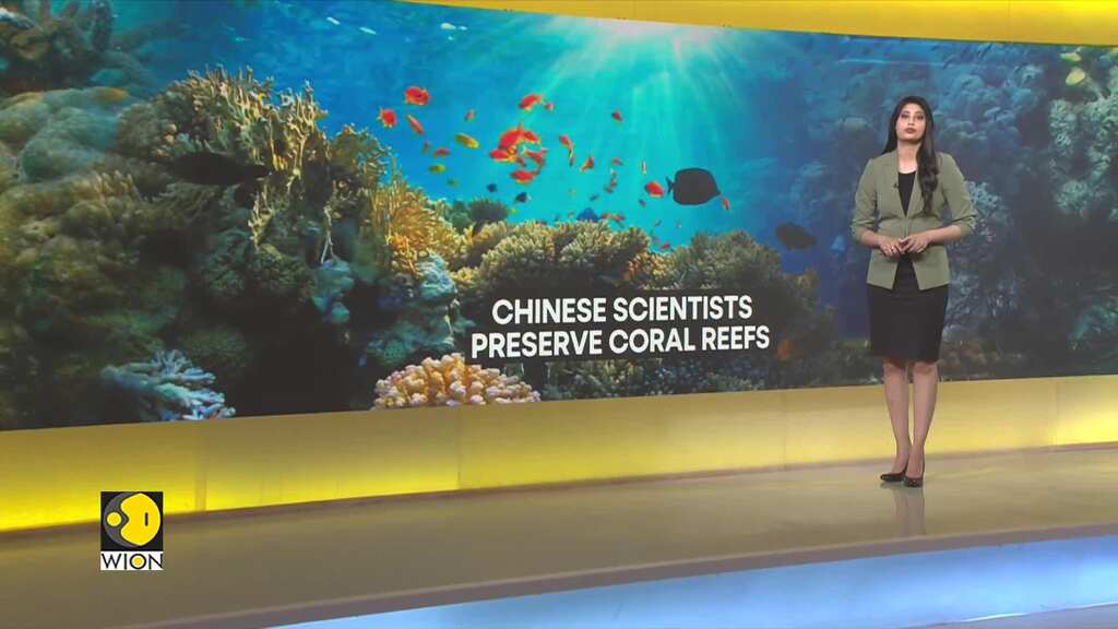 Reefs support up to one-third of all marine life