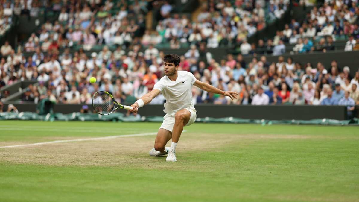 Wimbledon 2024: Defending-champion Carlos Alcaraz fights hard to earn semis berth Wimbledon 2024: Defending-champion Carlos Alcaraz fights hard to earn semis berth