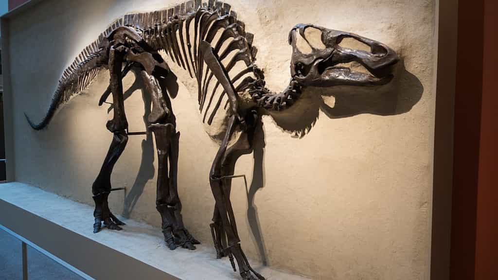 'Black hole of palaeontology': Dinosaur that burrowed and lived underground discovered