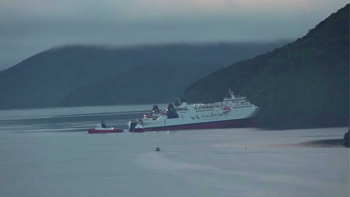 New Zealand ferry accident: Crew pressed wrong button, ship went on autopilot and ran aground