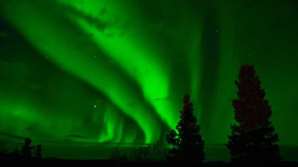 Mesmerising auroras can threaten planet Earth, harm critical infrastructure: Scientists