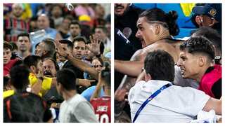 Uruguay's Darwin Nunez gets involved in UGLY BRAWL with Colombia fans after Copa America semis - Watch