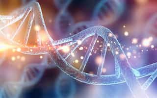 Study finds human-Neanderthal interbreeding dates back earlier, shaped genetic diversity