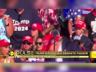 Donald Trump rally shooting: Trump escapes assassin's bullet, galvanises supporters & allies