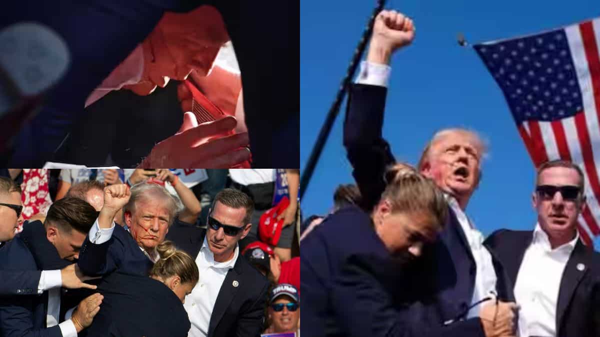 Morning news brief: Donald Trump assassination attempt, updates on the man who tried to kill him, and more