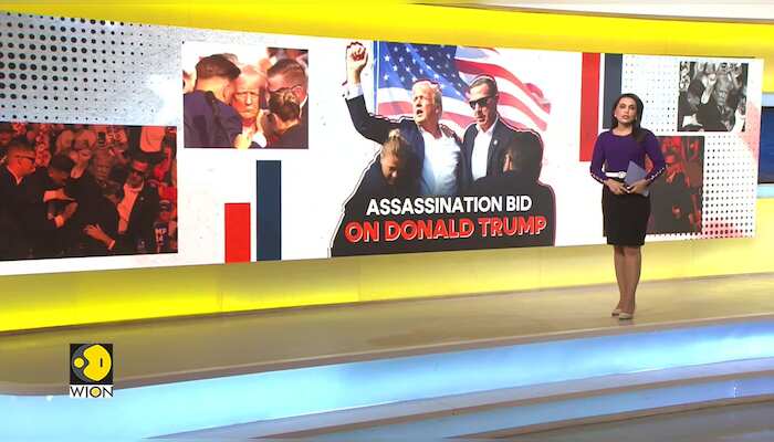 Trump shooting: Trump praised by celebrities as ‘a warrior' after assassination bid