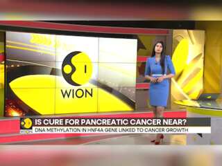 Is the cure for pancreatic cancer near?