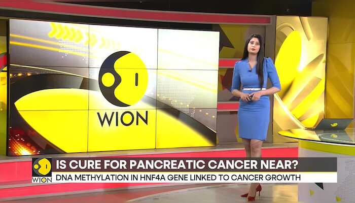 Is the cure for pancreatic cancer near?
