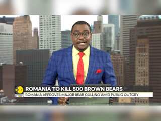 Romania authorises killing of around 500 brown bears