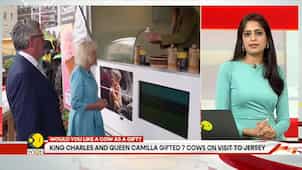 Gravitas: King Charles & Queen Camilla gifted seven cows on visit to Jersey