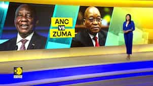 South Africa: Disciplinary proceedings against Jacob Zuma