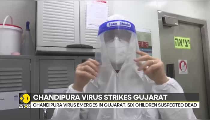 Chandipura virus emerges in Gujarat, six children suspected dead