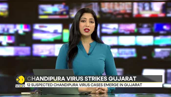 Chandipura virus: A deadly threat in Gujarat