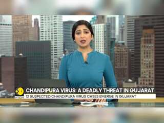 India: Chandipura virus emerges in Gujarat, six children suspected dead | India News | WION