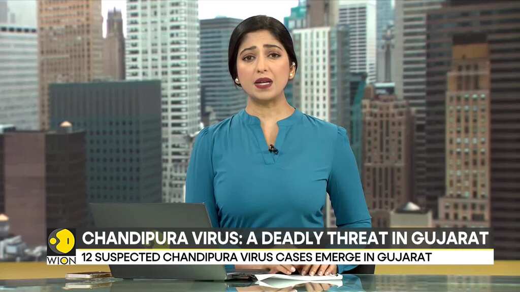 India: Chandipura virus emerges in Gujarat, six children suspected dead | India News | WION