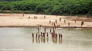 Uncontacted tribe that came out of jungle attacks loggers with bows and arrows