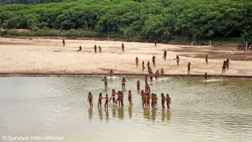 VIDEO: Violence feared as world's largest uncontacted Amazonian tribe comes out of the jungle