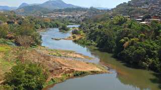 Mass fish die-off reported from Sao Paulo river in major environmental disaster