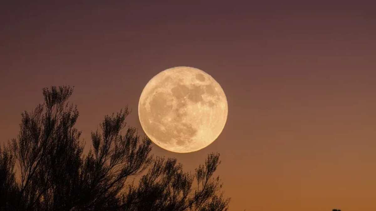 Buck moon rises this weekend, and will make way for four supermoons next