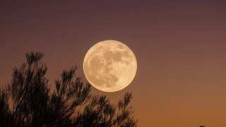 Buck moon rises this weekend, and will make way for four supermoons next
