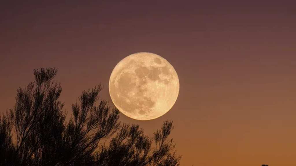 Buck moon rises this weekend, and will make way for four supermoons next