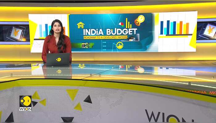 India budget: Government’s take in focus
